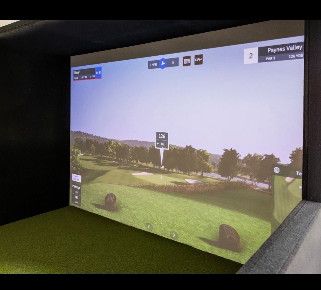 Carl's Place enclosure impact screen displaying virtual golf course simulation in high definition indoor setup - ALLBGT