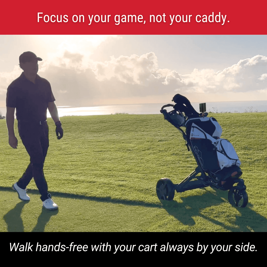 Alphard SIDEKICK on golf push cart - ALLBGT